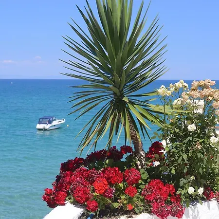 Olympos Beach Campsite *