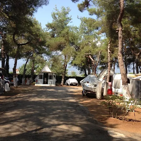 Olympos Beach Plaka Litochorou