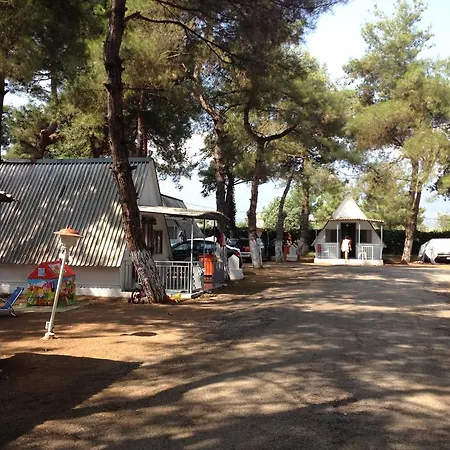 Olympos Beach Plaka Litochorou