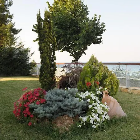 Κάμπινγκ Olympos Πλάκα Λιτόχωρου