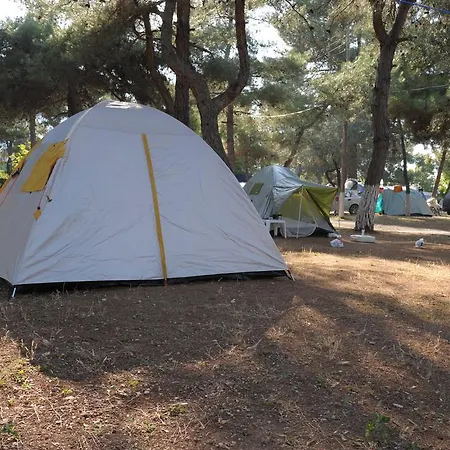 Olympos Beach Plaka Litochorou