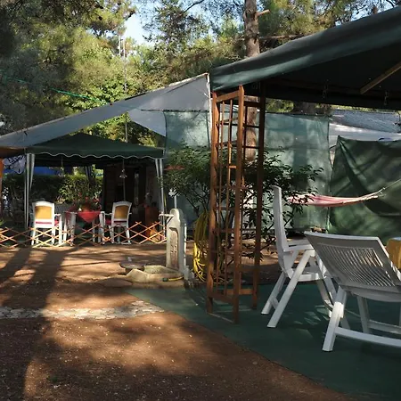 Olympos Beach