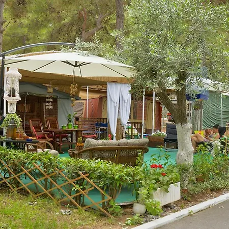 Campsite Olympos Beach Plaka Litochorou